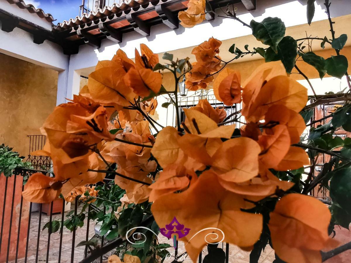 Maison Bougainvillea Antigua Exterior foto