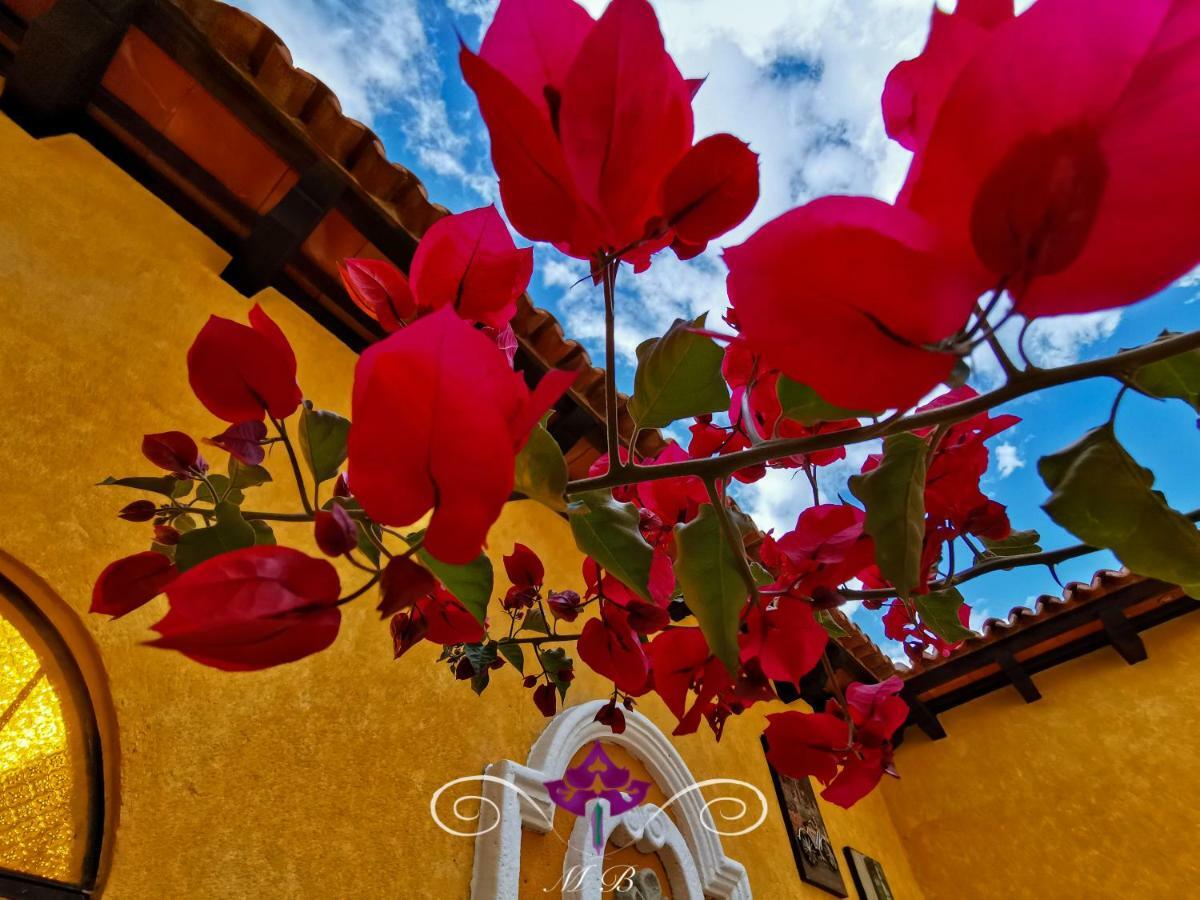 Maison Bougainvillea Antigua Exterior foto