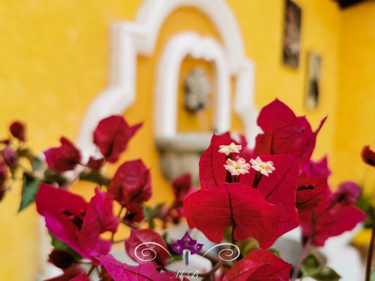 Maison Bougainvillea Antigua Exterior foto